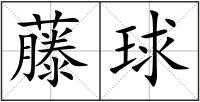 小小藤球跃动台州乡村(图1)