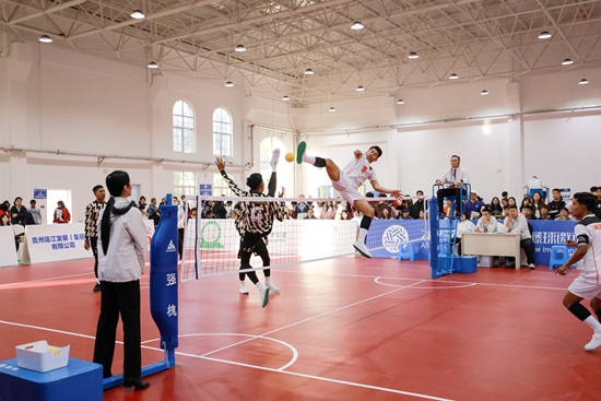 在平原上孤立的足球后面有一个藤球(图1)