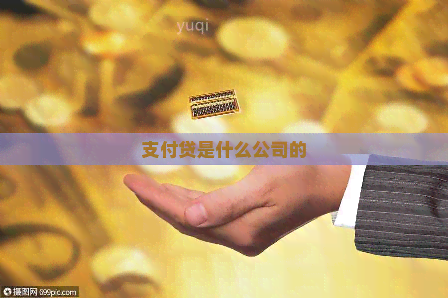 支付贷是什么公司的(图1)