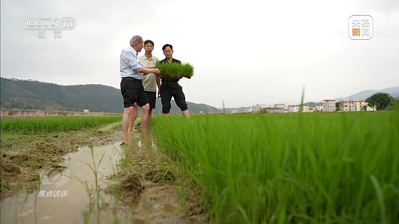 焦点访谈丨科技赋能春耕 从自动到自主 中国农业迈向智慧时代(图15)
