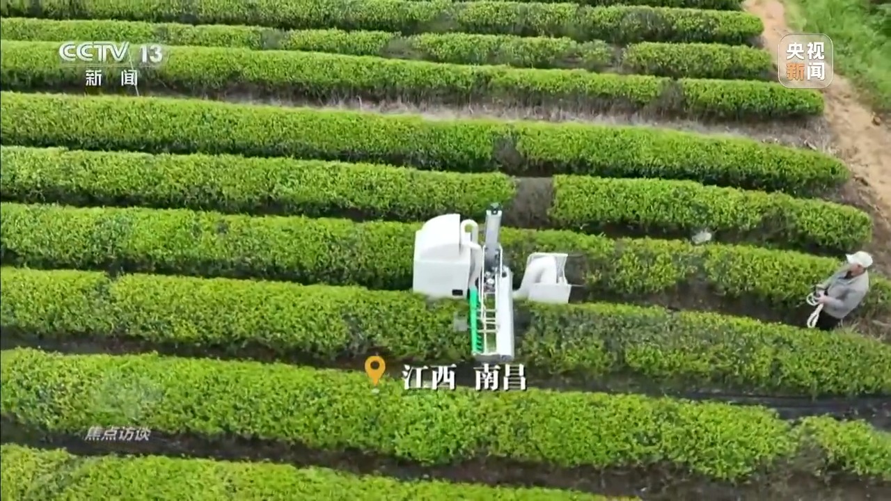 焦点访谈丨科技赋能春耕 从自动到自主 中国农业迈向智慧时代(图22)