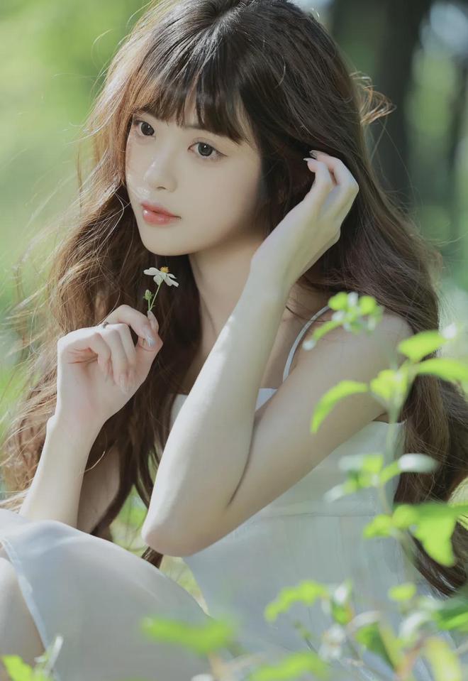 精品视频一区二区三区在线(图1)