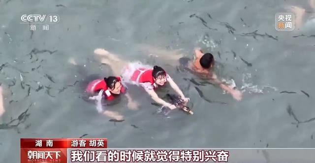 这个端午除了“掠鸭”“掼牛” 还有……(图3)