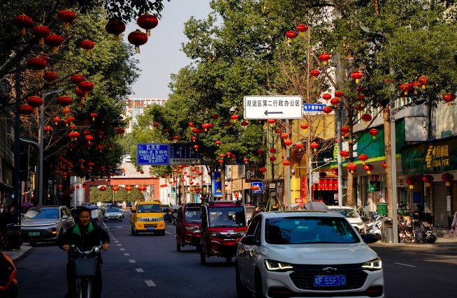 喜庆满满双流大街小巷张灯结彩迎新春(图4)