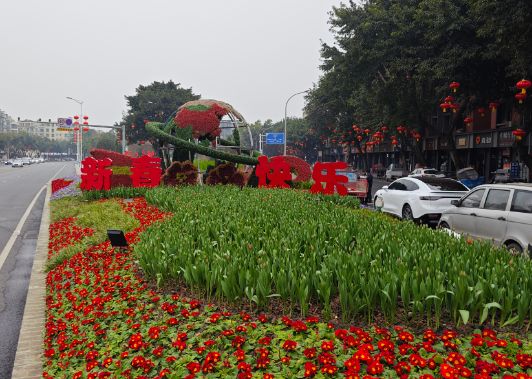喜庆满满双流大街小巷张灯结彩迎新春(图7)