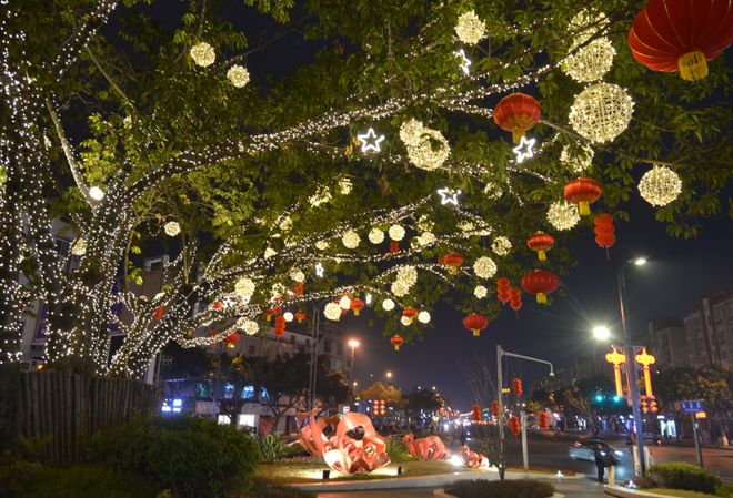 喜庆满满双流大街小巷张灯结彩迎新春(图8)