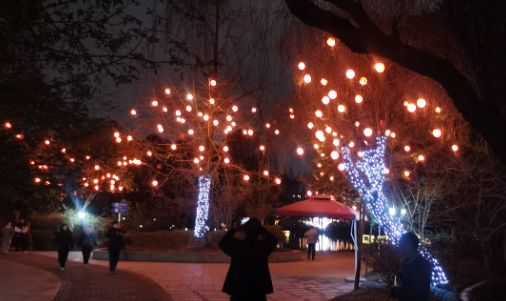 喜庆满满双流大街小巷张灯结彩迎新春(图10)