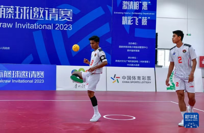 读肖复兴爱上体育(图1)