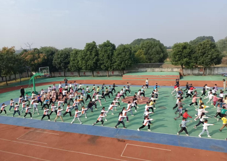 铜陵市郊区：“一校一品”绘就大课间体育新图景(图2)