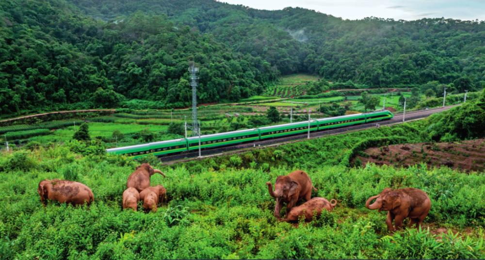 加快建设我国面向南亚东南亚辐射中心(图1)