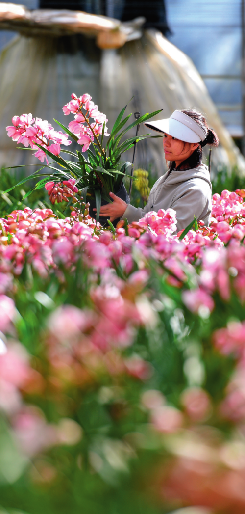 加快建设我国面向南亚东南亚辐射中心(图2)
